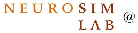 Neurosim Lab